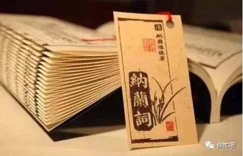 纳兰词中最为唯美的诗词!