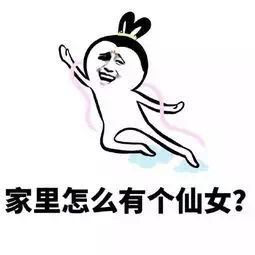 送你们的情侣斗图表情包,男朋友那受的气都给我赢回来