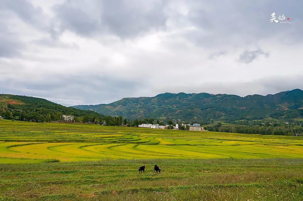 美姑县位于凉山彝族自治州东北部,地处大凉山黄茅埂西麓.