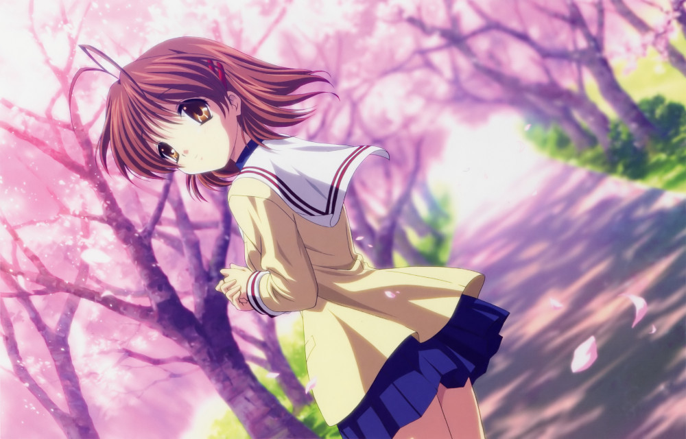 clannad,四月是你的谎言,你的名字,缘之空,二次元