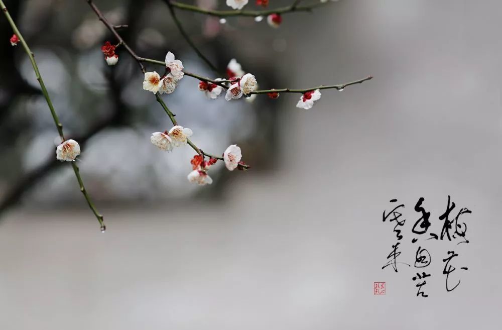 图片 1
