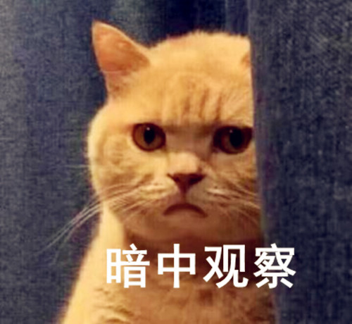 这组橘猫表情包,最近火爆网络,如此可爱赶紧保存吧