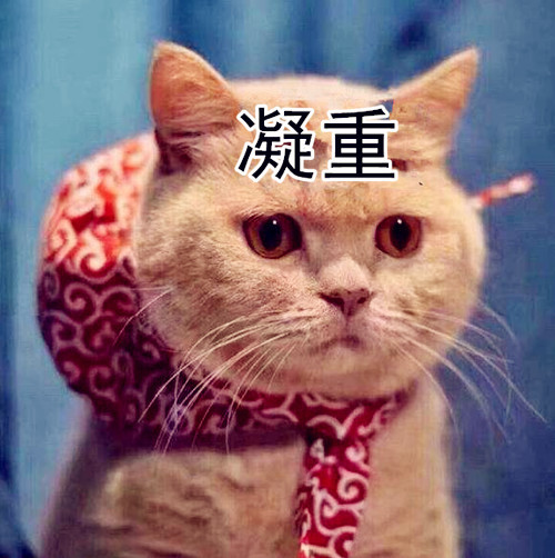 看这凝重的小眼神儿