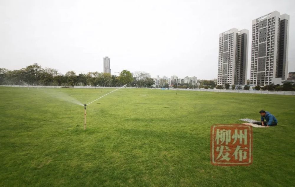 马鹿山公园东西草坪项目建设情况吧