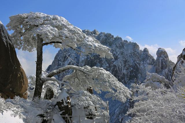 是不是傻?天下第一奇山的雪景才是需要珍藏的!