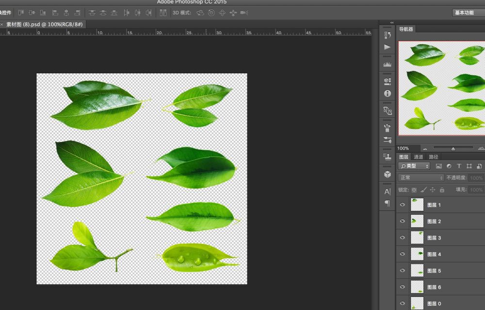比如我找到了一个psd格式的免扣素材,每一片叶子都有属于自己的一层