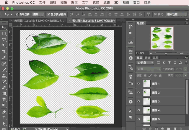 五分钟,如何用ps做出绝美的树叶效果?#ps13