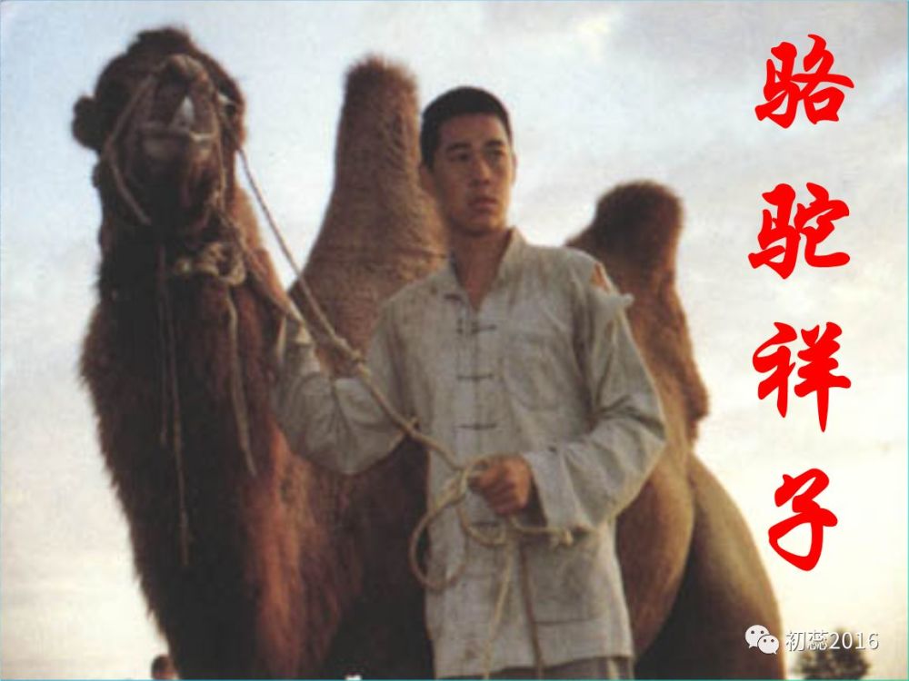 假期名著阅读——《骆驼祥子》(七)