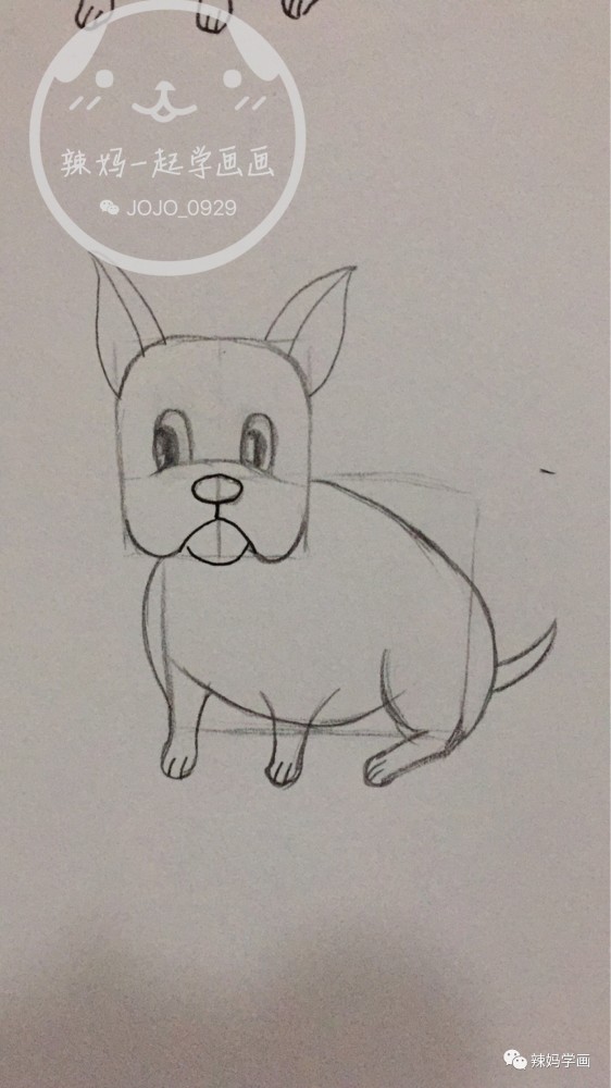 来画一只小法斗