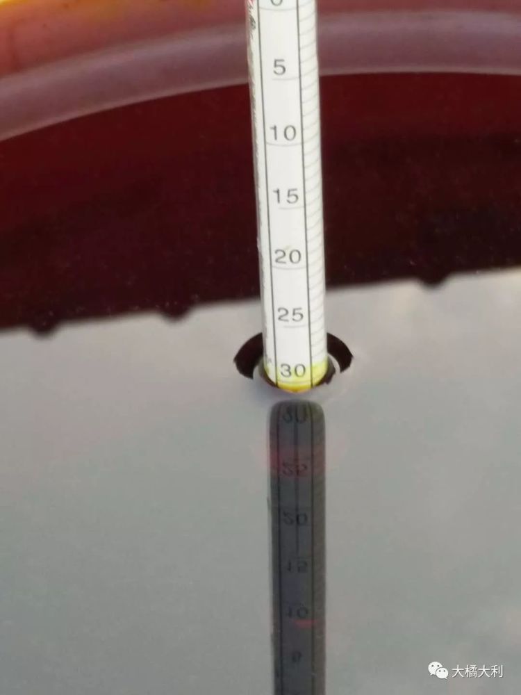 柑橘冬季清园攻略