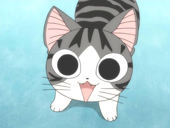 上次逮猪这次抓猫！福冈高速1小时大混乱