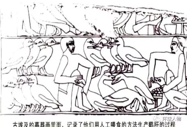 鹅肝酱,法国人的"年夜饺子"