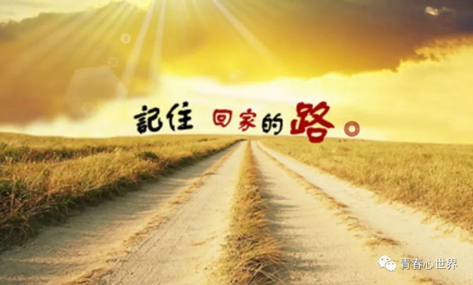 这一生,我们都走在回家的路上