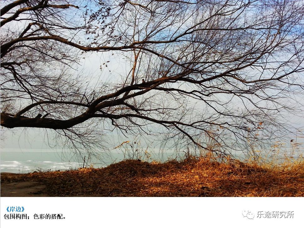 如何用手机拍出好照片