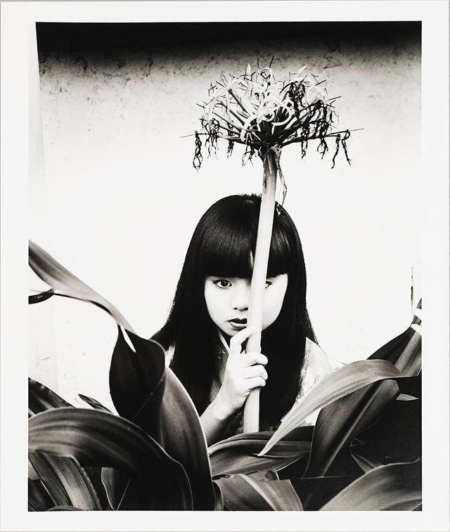 《大师之眼——荒木经惟杉本博司双人展》开展