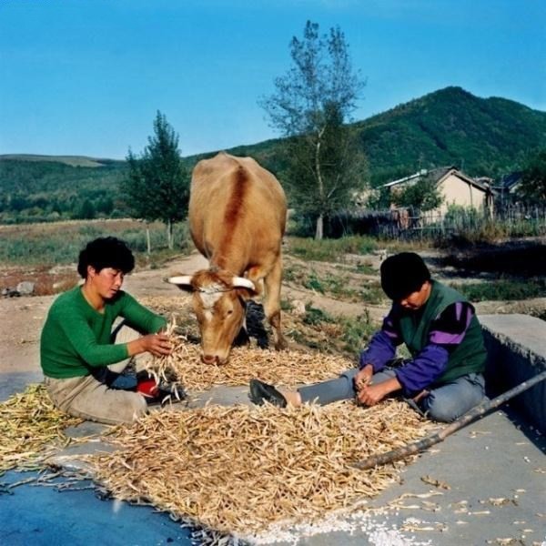 老照片:90年代的农村 唤醒了多少人的童年回忆?
