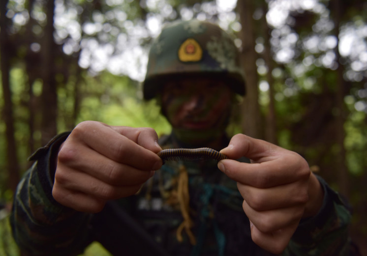 90后狙击手夜宿坟场活吞蛇胆