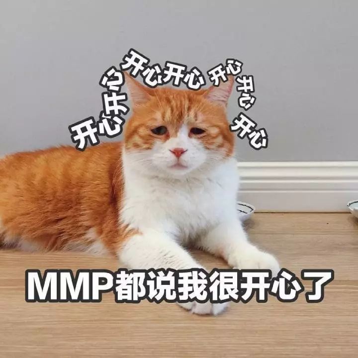 橘猫的悲伤到底有多大,丧到家却引来万千共鸣!