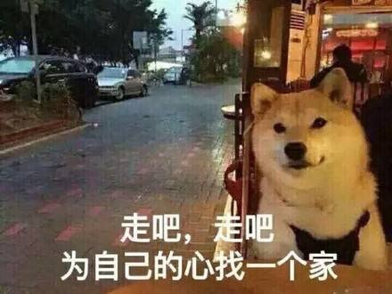 企鹅娘吐槽：看到喜欢的偶像结婚你心态会崩吗？