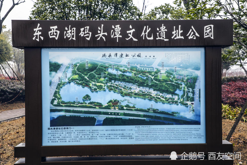 摄影作品:新石器时代人类活动的踪迹-码头潭文化遗址公园