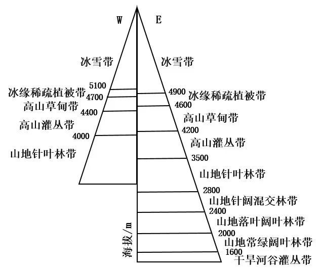 贡嘎山垂直自然带谱示意(据文献[6]图2c绘制)