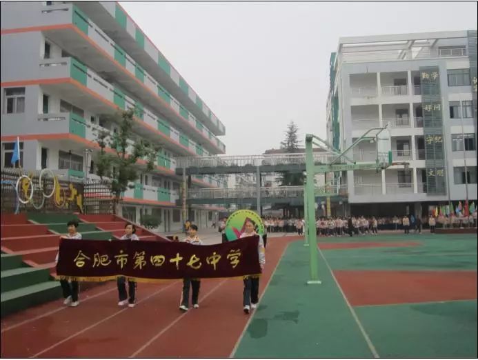 南小上城国际分校,逍遥津小学(金都华庭),红星路小学(北环阳光) 君君