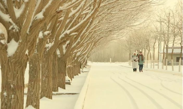 听说,下雪的时候 要约喜欢的人出去走走 因为走着走着就一起白了头