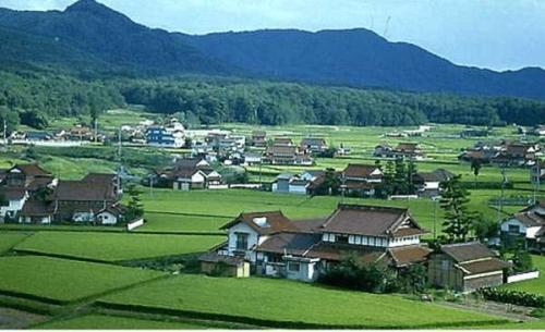 经济日报：宅基地“三权分置”须有序推进