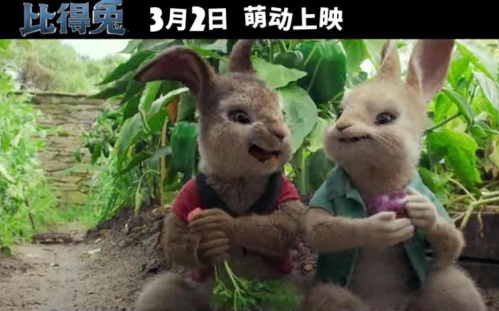 兔兔陪你过元宵 《比得兔》内地定档3月2日