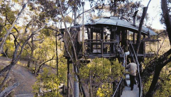 小编搜罗了世界上最美最梦幻的几个森林树屋 看看有没有你最中意的?