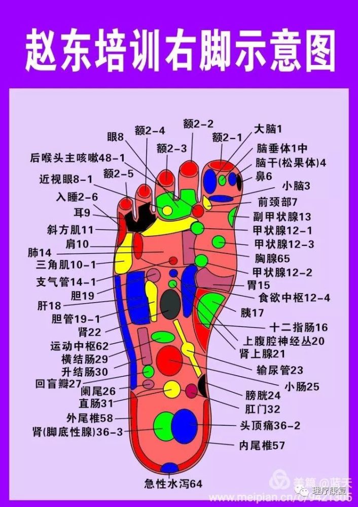 足底按摩反射疗法,是以刺激原理,按摩病变器官或者腺体的反射区带,使