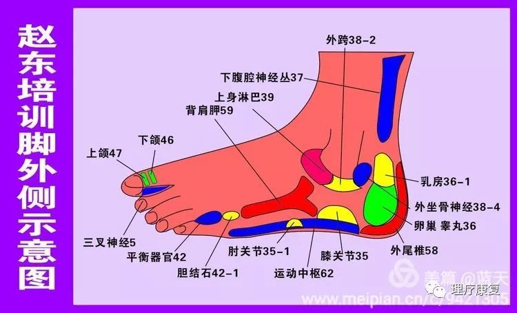 任国旺-大连-4月7日-络脉疗法