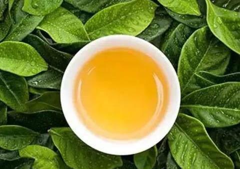 偏方三:柿子叶山楂茶