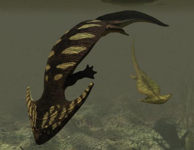 5种外形奇特的古生物,第3种可能仍存活在中国