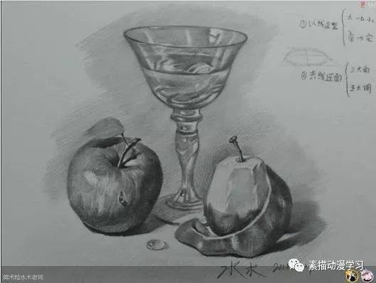 素描水果静物组合刻画教程