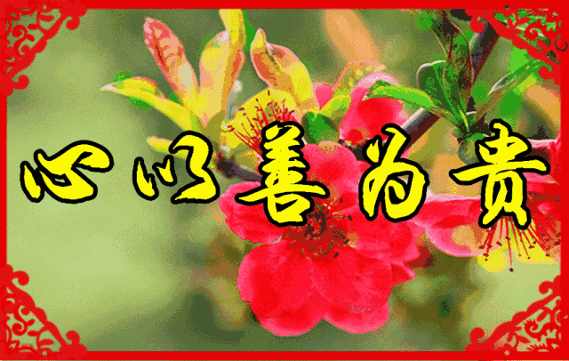 贵贵贵贵贵贵贵贵,太美了,送给你!