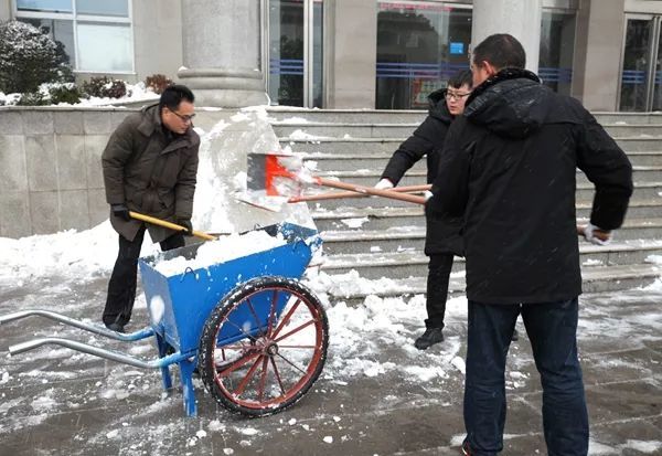 周口中院:风雪弥漫处 扫雪暖家园