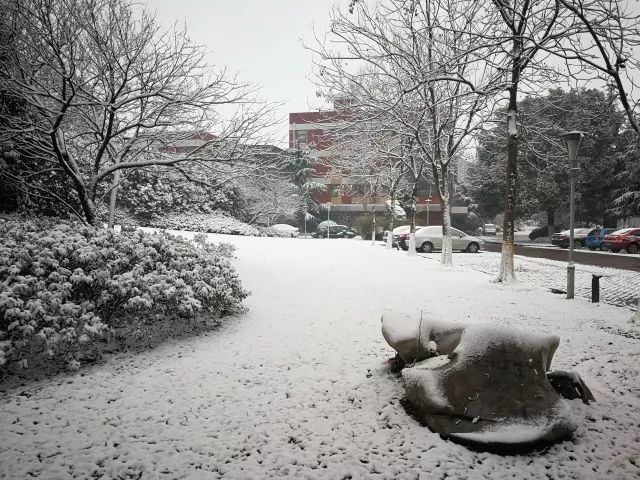 大雪纷飞,真是有些小兴奋呢