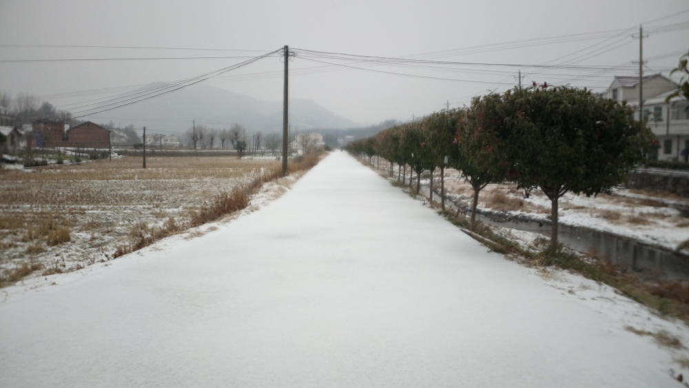 大雪天的农村很美,你发现了吗?