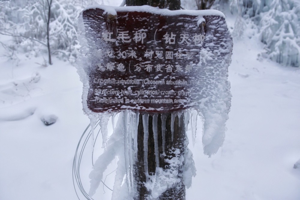 黑龙江有个不为人知的冰雪仙境,比雪乡冷酷10倍,还曾有过ufo的新闻