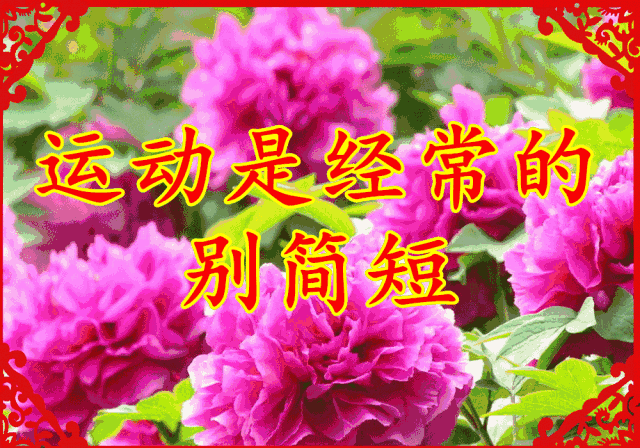 早上好,一曲《珍惜》太美了,送给所有我珍惜的人!