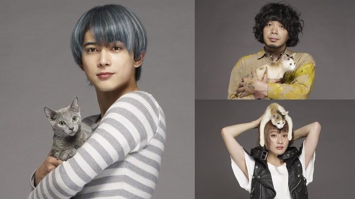 想吸想撸！吉泽亮在《拥抱猫咪》演一只猫