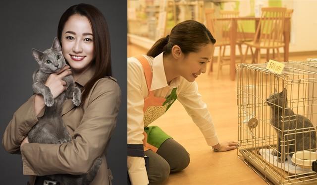 想吸想撸！吉泽亮在《拥抱猫咪》演一只猫