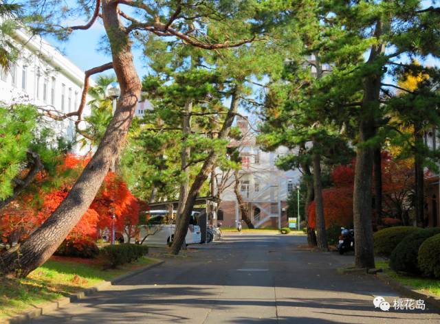 宛如公园般的日本东北大学,仙台最值得一去的地方