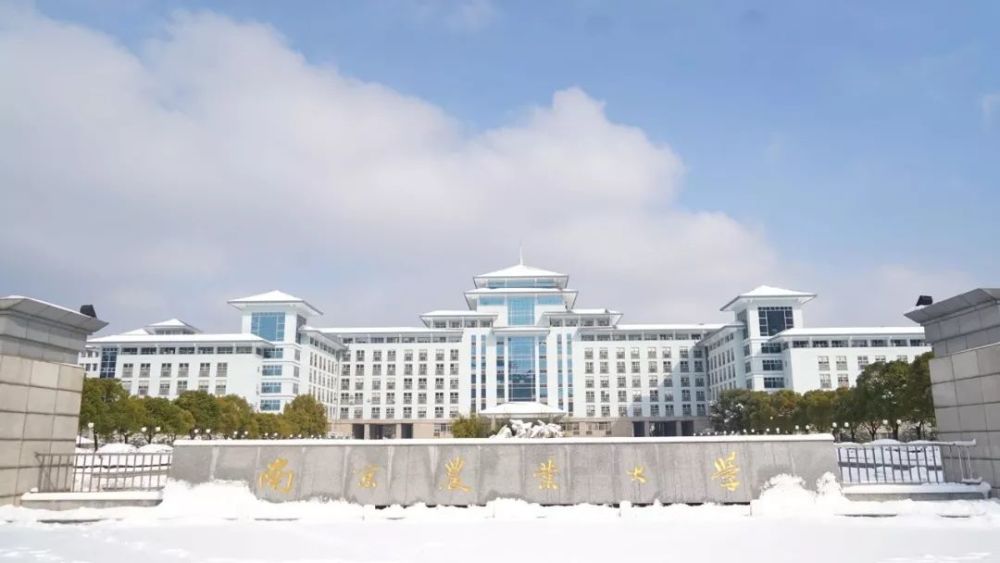 看,雪霁天晴的南京农业大学
