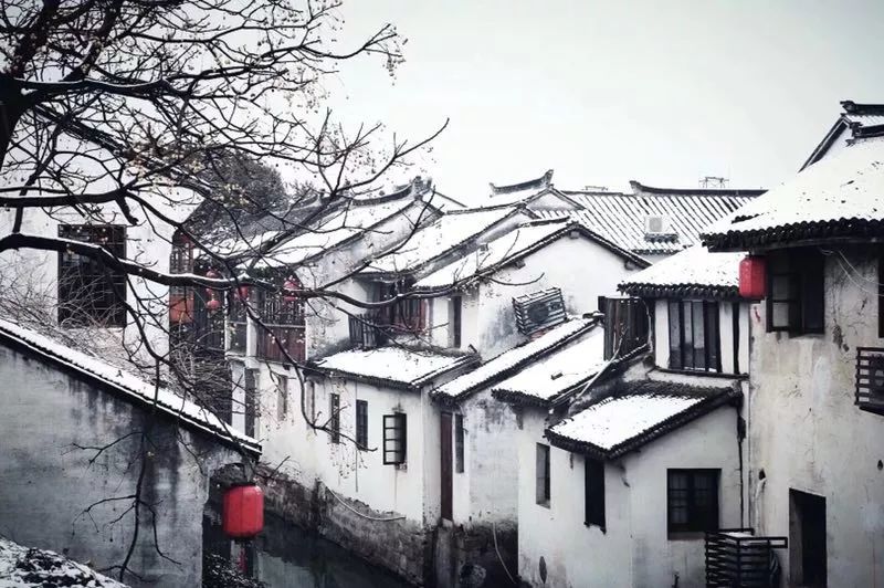 《醉美姑苏雪》:这一季冬天,我在苏州等你来看雪