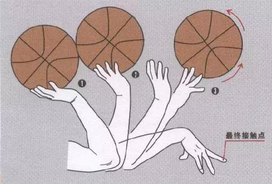 篮球基本功训练:正确投篮姿势手型教学