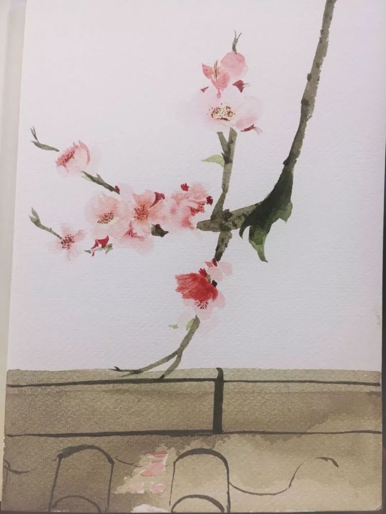 水彩进阶教程,画梅花只需6步