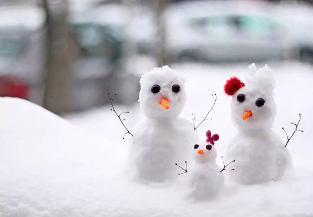 何处有尘埃" 雪花棉遇温情人间 便是"风雨同舟肩并肩,雪中送炭见真情"