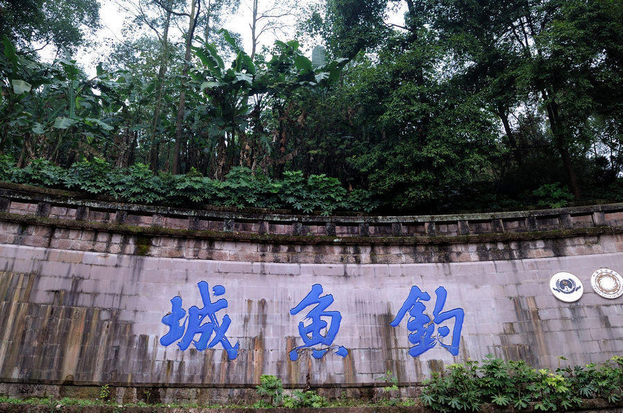 夜景,王坚,钓鱼城